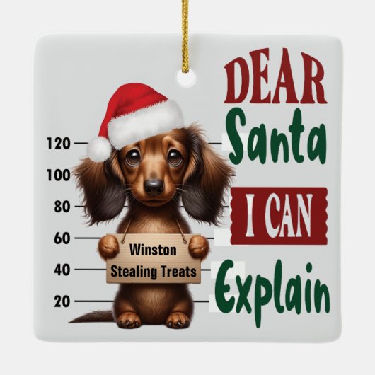 Dackel Tasse Shot: Liebe Santa I kann erklären Keramikornament (Rückseite)