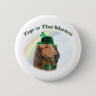 Dackel Top of the Morn'; Dackel St. Patrick Button