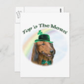 Dackel Top of the Morn'; Dackel St. Patrick Postkarte (Vorne/Hinten)