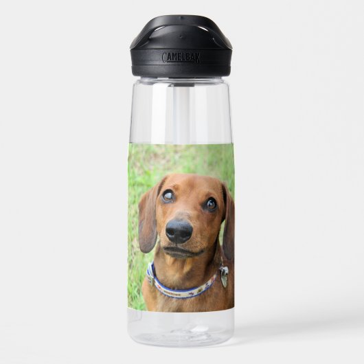 Dackel Trinkflasche (Rückseite)