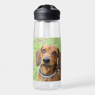 Dackel Trinkflasche