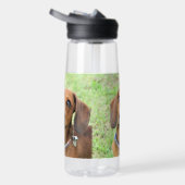 Dackel Trinkflasche (Rechts)