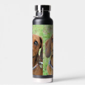 Dackel Trinkflasche (Rechts)