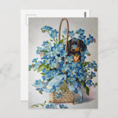 Dackel und Vergessen-Ich-Nots Postkarte (Vorne/Hinten)