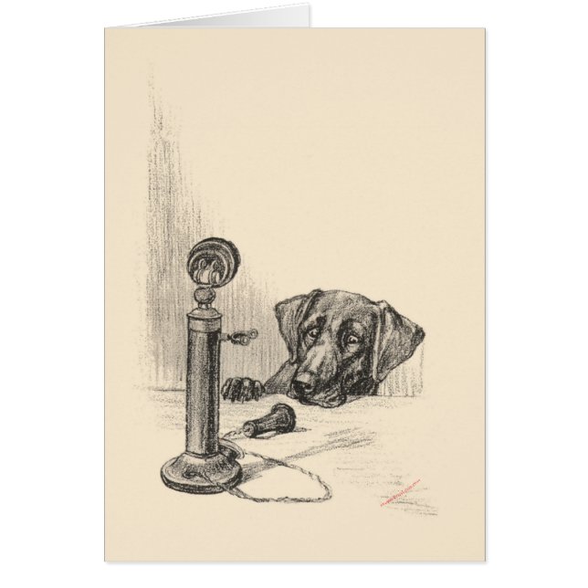 Dackel und Vintages Telefon (Vorne)
