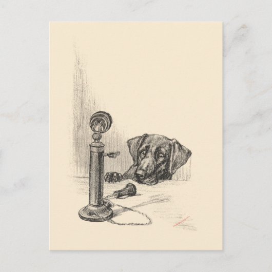 Dackel und Vintages Telefon Postkarte (Vorderseite)