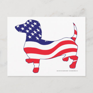 Dackel unter amerikanischer Flagge Postkarte