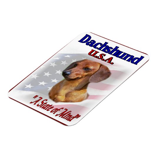 DACKEL USA MAGNET (Linke Seite)