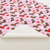 Dackel Valentine Sherpadecke (3/4)