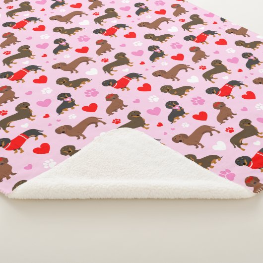 Dackel Valentine Sherpadecke (3/4)