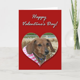Dackel-Valentinstag-Karte Feiertagskarte