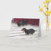 Dackel verfolgt Rennen Karte (Gelbe Blume)