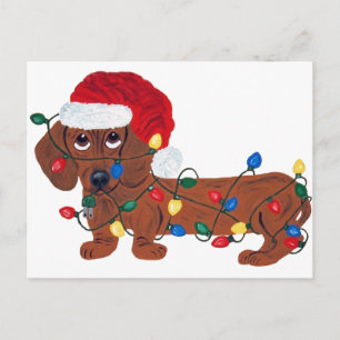 Dackel verwirrt in den Weihnachtslichtern (rot) Feiertagspostkarte