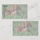 Dackel Visitenkarte (Vorne/Hinten)