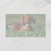 Dackel Visitenkarte (Rückseite)