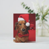 Dackel vor einem Weihnachtsgeschenk Postkarte (Stehend Vorderseite)