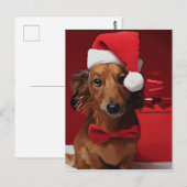 Dackel vor einem Weihnachtsgeschenk Postkarte (Vorne/Hinten)