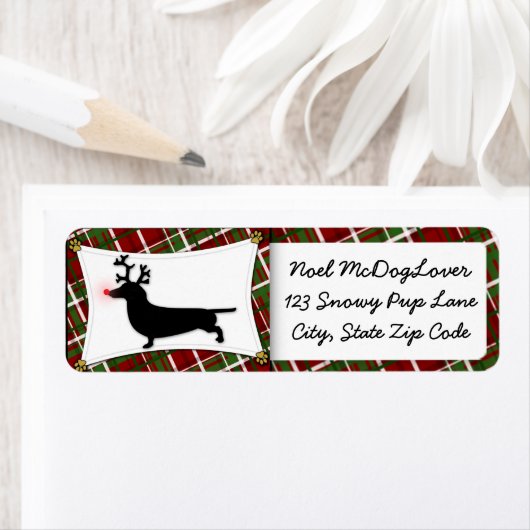 Dackel Weihnachten (Insitu)