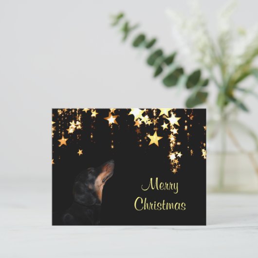 Dackel Weihnachten (Stehend Vorderseite)