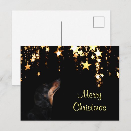 Dackel Weihnachten (Vorne/Hinten)