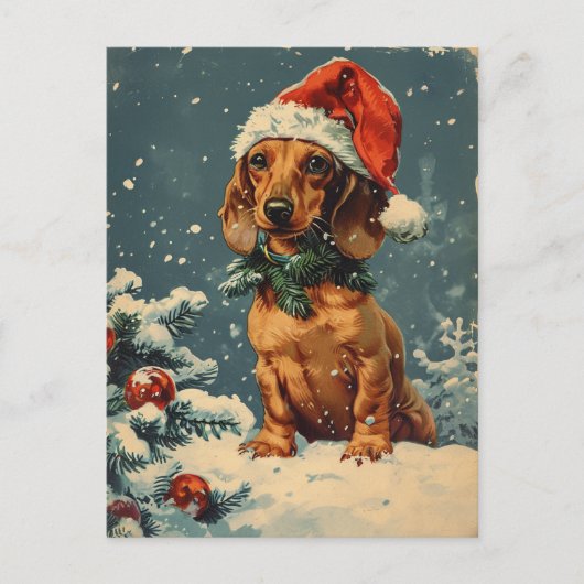 Dackel Weihnachten Postkarte (Vorderseite)