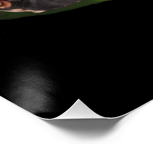 Dackel Weihnachtsbaum Poster (Ecke)