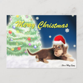 Dackel-Weihnachtsbaum-Postkarte Feiertagspostkarte