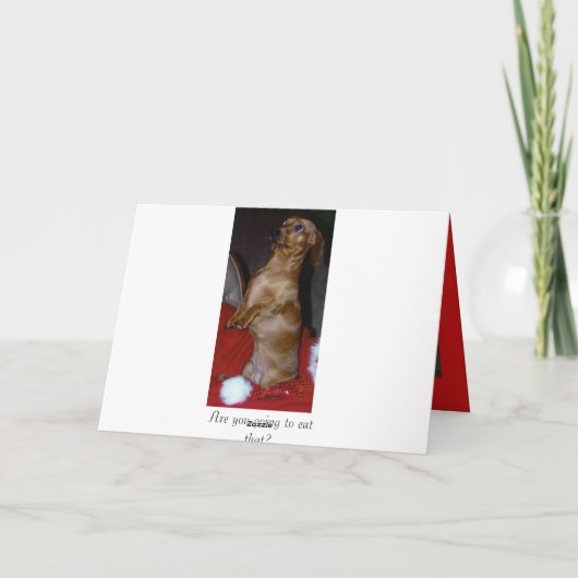 Dackel-Weihnachtskarte Feiertagskarte (Rückseite)