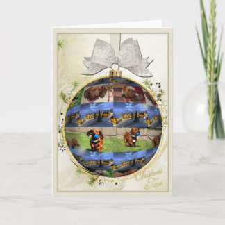 Dackel Weihnachtskarte Feiertagskarte