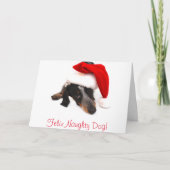 Dackel-Weihnachtskarte Feiertagskarte (Vorderseite)