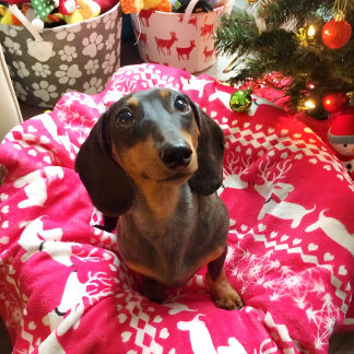 Dackel Weihnachtsmesse Isle Blanket Dackel Hunde Fleecedecke