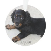 Dackel Weihnachtsschmuck Akryllische Foto hinzufüg