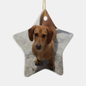 Dackel Weihnachtsschmuck Star Custom (Rechts)