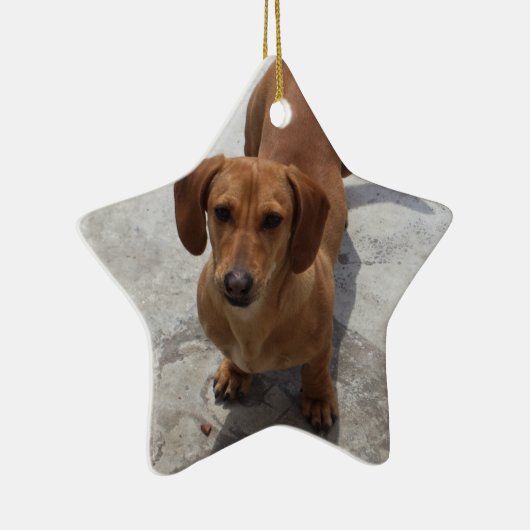 Dackel Weihnachtsschmuck Star Custom (Rechts)