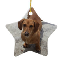 Dackel Weihnachtsschmuck Star Custom