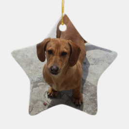 Dackel Weihnachtsschmuck Star Custom