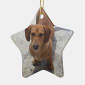 Dackel Weihnachtsschmuck Star Custom (Links)