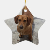 Dackel Weihnachtsschmuck Star Custom (Hinten)