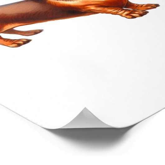 Dackel - Weiner Dog Aquarellmalerei Poster (Ecke)