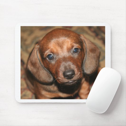 Dackel-Welpe einer Mousepad (Mit Mouse)