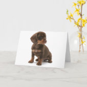 Dackel Welpe-Grußkarte Karte (Gelbe Blume)
