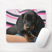 Dackel, Welpe, Haustier Mousepad (Mit Mouse)