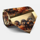 Dackel Welpe Herbst Kürbis Krawatte (Gerollt)