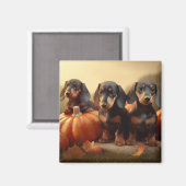 Dackel Welpe Herbst Kürbis Magnet (Vorderseite/Rückseite)