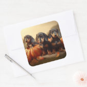 Dackel Welpe Herbst Kürbis Quadratischer Aufkleber (Umschlag)