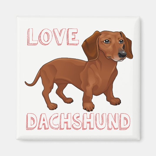Dackel Welpe Hund Red Liebe Magnet (Vorne)