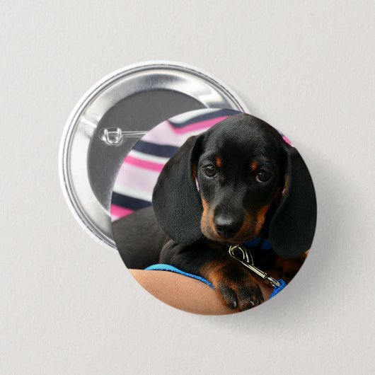 Dackel-Welpe niedlich Button (Vorne & Hinten)