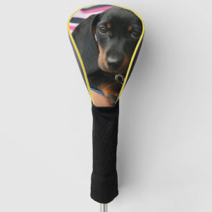 Dackel Welpe niedlich Golf Headcover