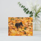 Dackel Welpe Postkarte (Stehend Vorderseite)