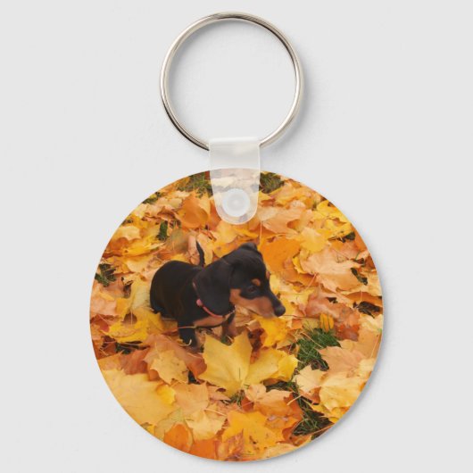 Dackel Welpe Schlüsselanhänger (Vorderseite)